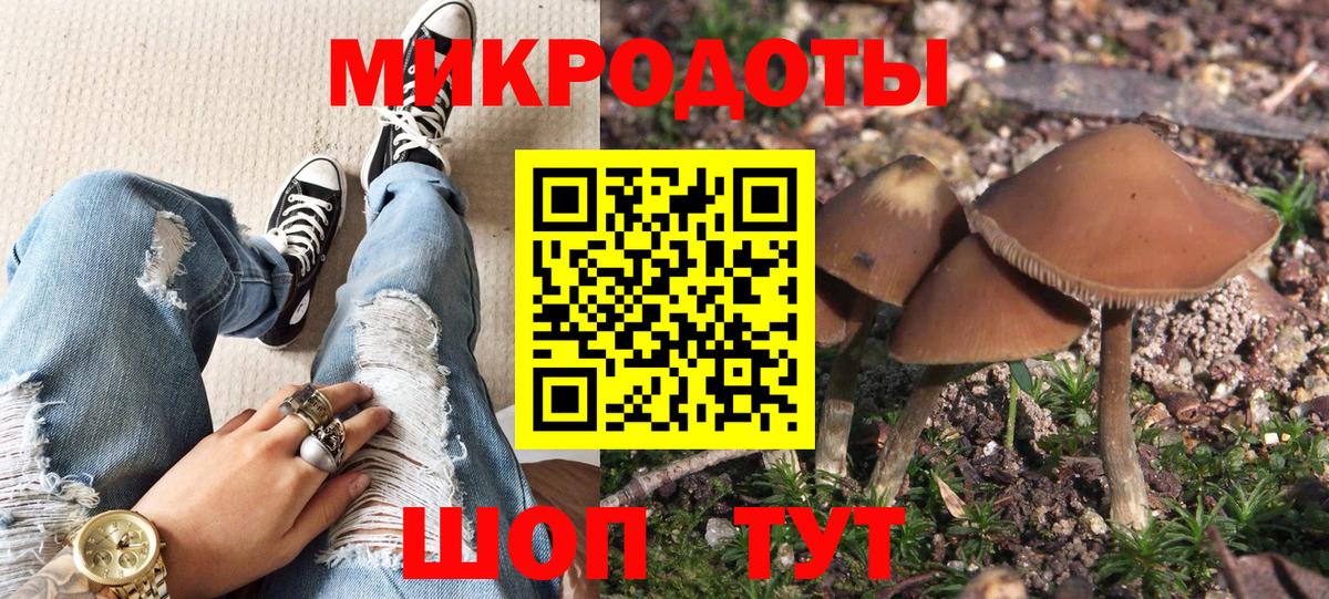 Галлюциногенные грибы Psilocybine cubensis Щёкино