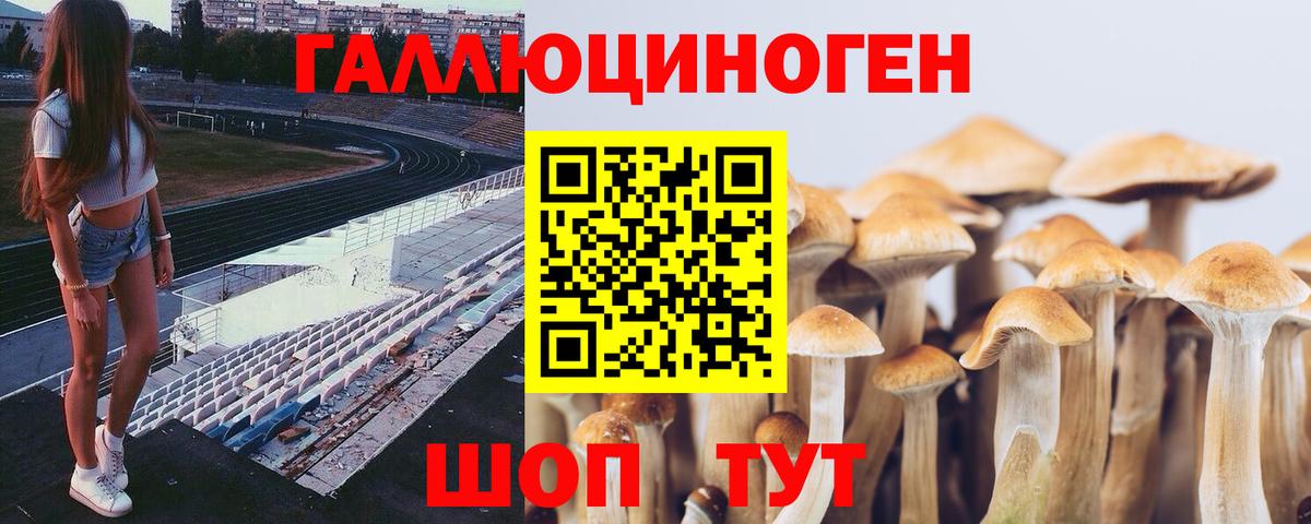 Щёкино  Псилоцибиновые грибы Cubensis  Вход с VPN  Галлюциногенные грибы ЛСД 